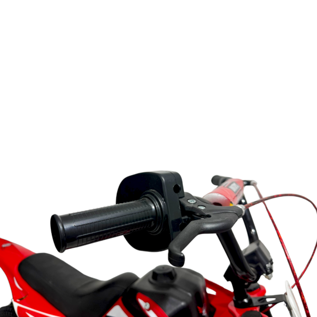 image_e9d12439-8c99-4d21-a8e4-4923563348f8