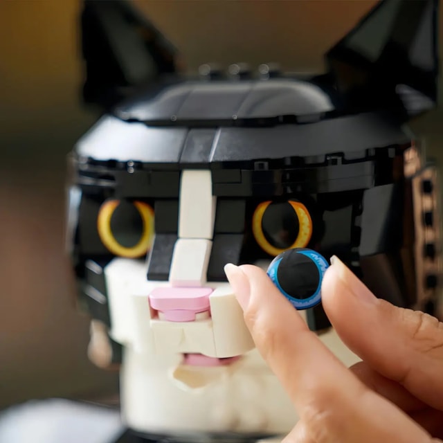 image_499e15d7-fa1a-4ac2-8ae8-576ce5cb3857